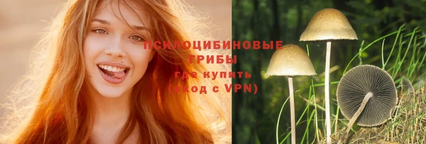 метадон Алексеевка
