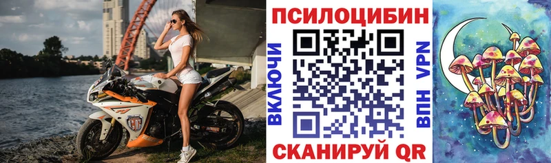 Псилоцибиновые грибы прущие грибы  omg ТОР  Ейск  где найти наркотики 