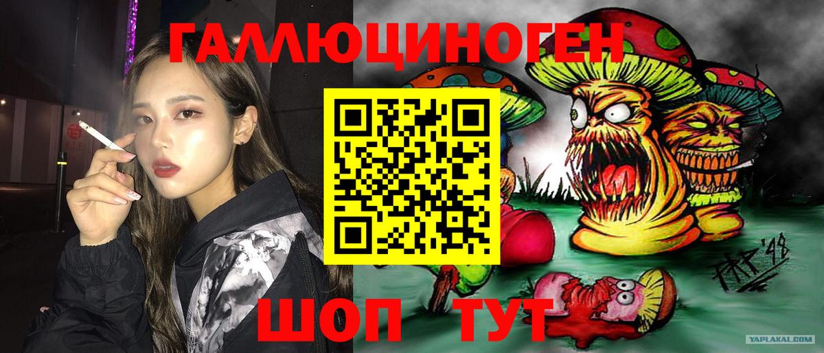 Галлюциногенные грибы ЛСД  Вход с VPN  купить наркотики сайты  Псилоцибиновые грибы мицелий  Ейск 
