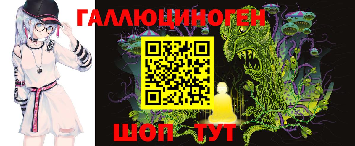 Псилоцибиновые грибы Psilocybine cubensis Ейск
